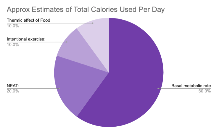 Setting the Record Straight: How Many Calories Do You Actually Burn vs. Need?